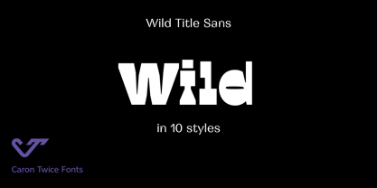 Wild Title Sans Font Poster 1