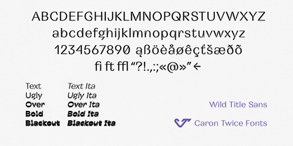Wild Title Sans Font Poster 13