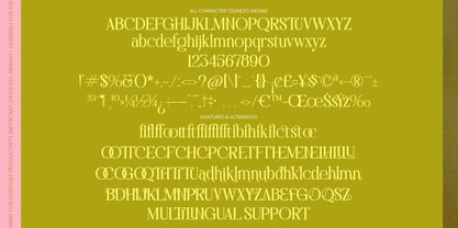 Celineso Aroma Font Poster 8