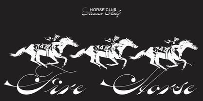 Oldisire Script Font Poster 8