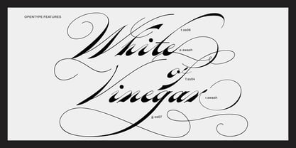 Oldisire Script Font Poster 9