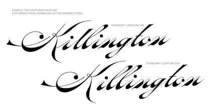 Oldisire Script Font Poster 3
