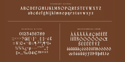 Renicey Font Poster 8