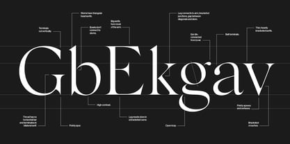 Silk Serif Variable Font Poster 6