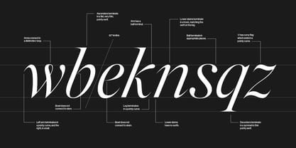 Silk Serif Variable Font Poster 7