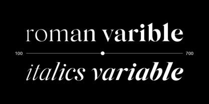 Silk Serif Variable Font Poster 2