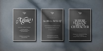 Alinistic Font Poster 8