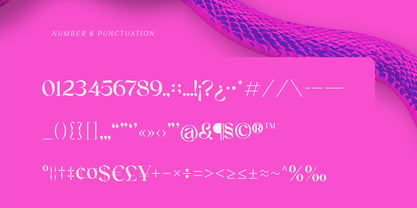 Alinistic Font Poster 3