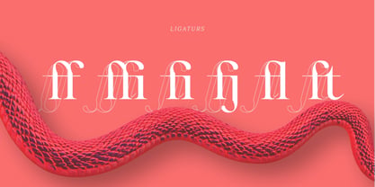 Alinistic Font Poster 4