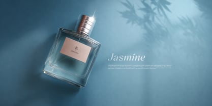 Alinistic Font Poster 7