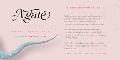 Alinistic Font Poster 5