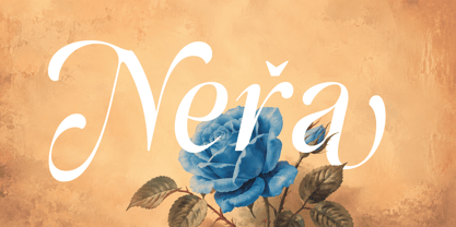 Alinistic Font Poster 10
