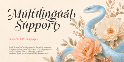 Alinistic Font Poster 11