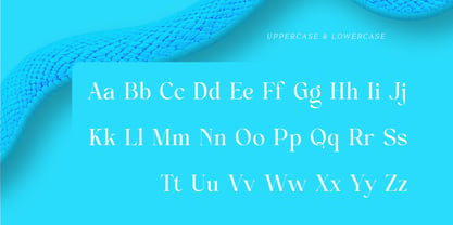 Alinistic Font Poster 2