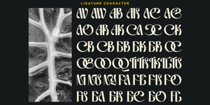 Genya Font Poster 10