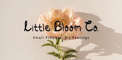 Rawflesia Hand Drawn Font Font Poster 5