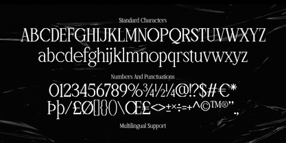 Windraw Aesthetic Font Poster 12