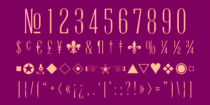 Radiant Extra Condensed CT Font Poster 5