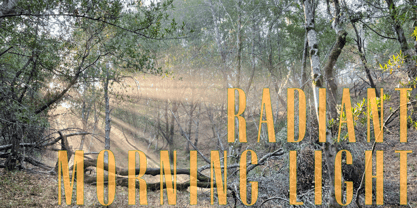 Radiant Extra Condensed CT Font Poster 14