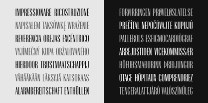 Radiant Extra Condensed CT Font Poster 4