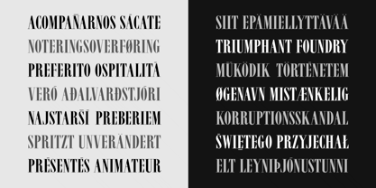 Vincenzo Font Poster 5