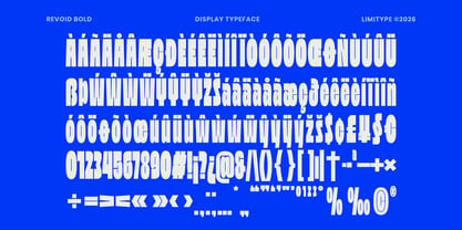 Revoid Font Poster 11