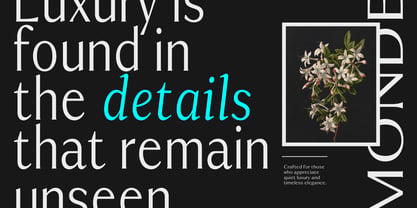 Rema Monde Font Poster 8