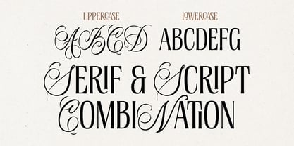 Lumera Editorial Font Poster 2