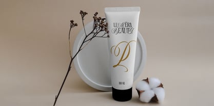 Lumera Editorial Font Poster 7