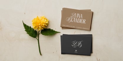 Lumera Editorial Font Poster 3