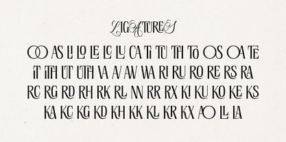 Lumera Editorial Font Poster 11