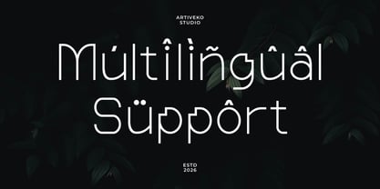 Wonderlast Font Poster 6
