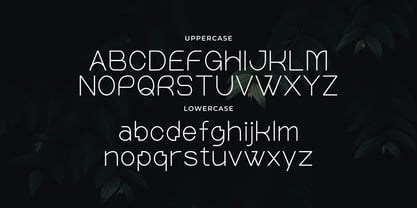 Wonderlast Font Poster 2