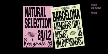 Reclymate Font Poster 5