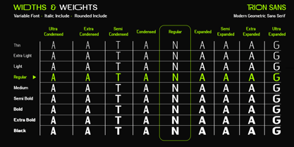 Trion Sans Font Poster 5
