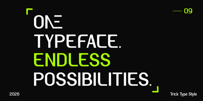 Trion Sans Font Poster 8