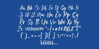 Timelore Brush Font Poster 6
