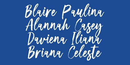Timelore Brush Font Poster 3