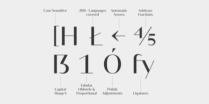 Mondique Font Poster 9