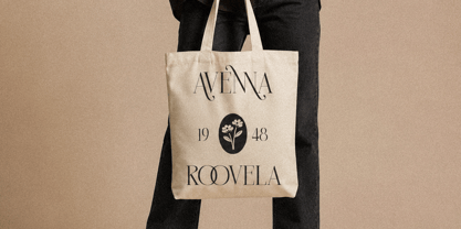 Megalme Font Poster 10