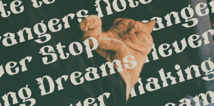 Oreyohi Font Poster 2