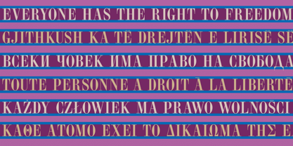 Norberto Font Poster 9