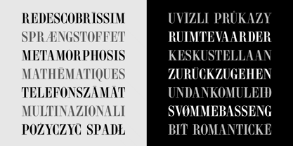 Norberto Font Poster 7