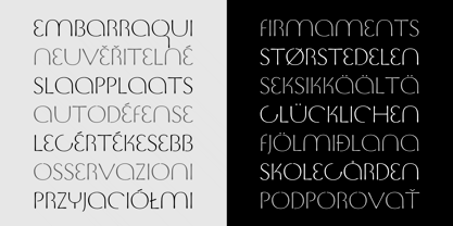 Jensen Arabique Font Poster 5