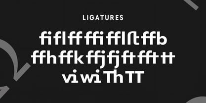 DTF Vectra Neue Font Poster 8