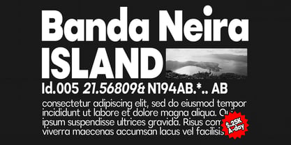 DTF Vectra Neue Font Poster 3