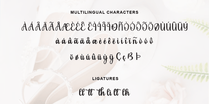 Viona Font Poster 3