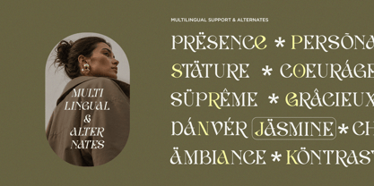 Avelind Font Poster 8