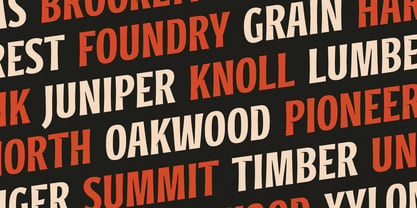 District Letters Font Poster 4