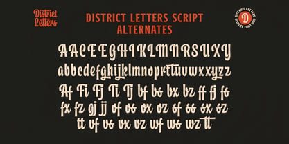 District Letters Font Poster 8